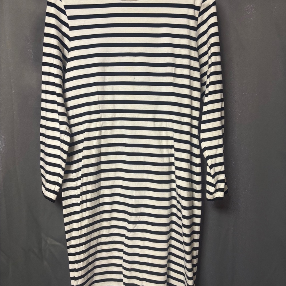 J. Crew Black and White Striped Long Sleeve Dress